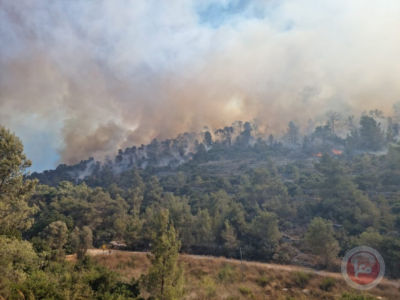 حريق كبير بجبال القدس وإخلاء منازل للمستوطنين (صور)