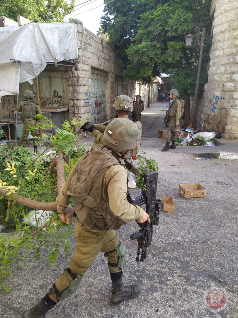 Pictures - Occupation soldiers detain children and cut down ornamental trees in Hebron