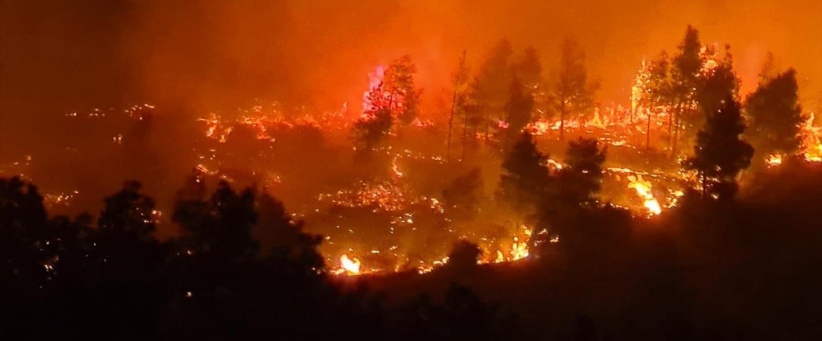 13 قتيلا على الأقل جراء أكثر من 200 حريق غابات في تشيلي