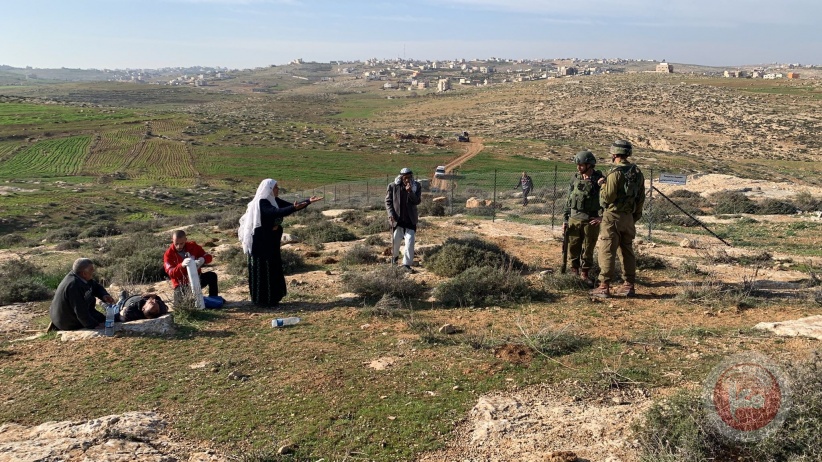 A civilian was injured after settlers attacked agricultural lands in Masafer Yatta (video)