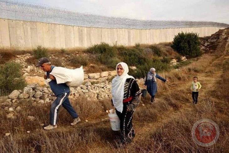 "Supreme"  Israel cancels the ban on farmers entering their isolated lands behind the wall