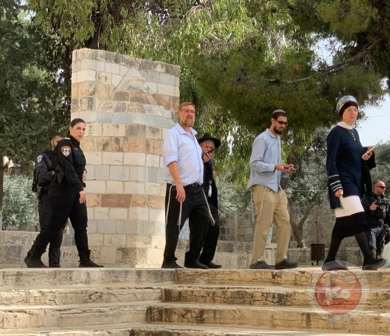 Amid calls to intensify incursions on the “Easter holiday” .. Dozens of settlers storm Al-Aqsa