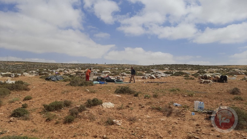 The occupation state punishes a citizen whose crops were destroyed by settlers in Masafer Yatta
