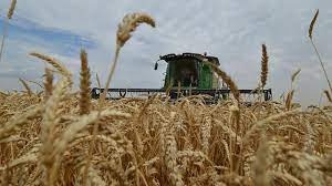 روسيا: سنعزز صادرتنا من القمح إلى الشرق الأوسط وأفريقيا