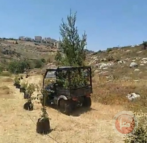 Settlers seize 10 dunums of lands in the town of Al-Khader