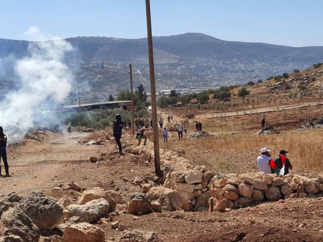 Injuries during the suppression of a march against settlements in Beit Dajan