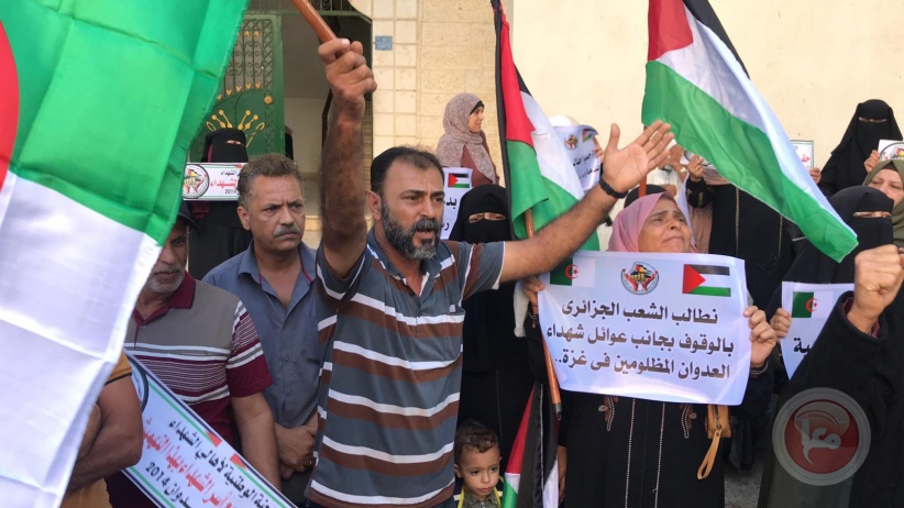 Gaza: A demonstration by the families of the martyrs calls on those gathered in Algeria to end the division