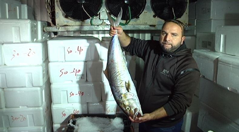 By an Israeli decision, Gaza fish are prohibited from reaching West Bank markets