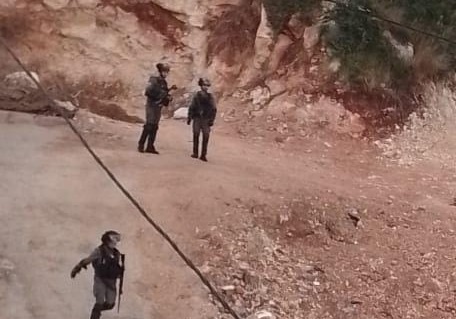 جرافات الاحتلال تواصل أعمال التجريف واقتلاع اشجار الزيتون في قراوة بني حسان