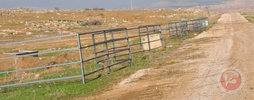 Settlers extend a water line to a barn they built in the Jordan Valley