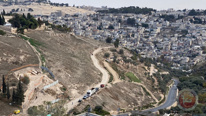 The occupation leveled lands and uprooted trees in several neighborhoods in the town of Silwan