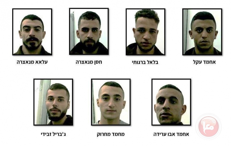 The occupation claims to have arrested 8 young men from Ramallah who carried out a series of operations