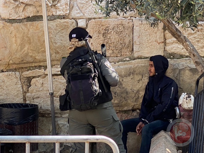 The occupation assaults a Jerusalemite activist and arrests 20 citizens from the vicinity of Al-Aqsa