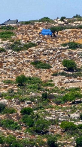 For the third time... settlers erect tents west of Salfit
