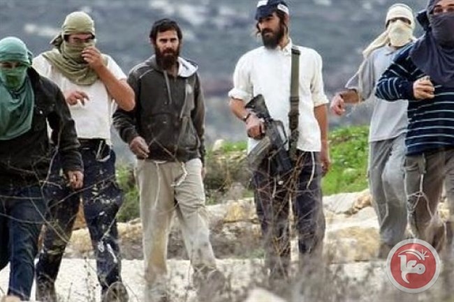 حكومة الاحتلال تتخذ عدة إجراءات لزيادة إعداد المسلحين في صفوف المستوطنين 