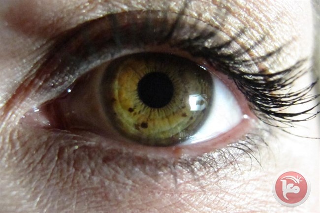دراسةجديدة تتوصل إلى تشخيص مرض الزهايمر عن طريق شبكية العين